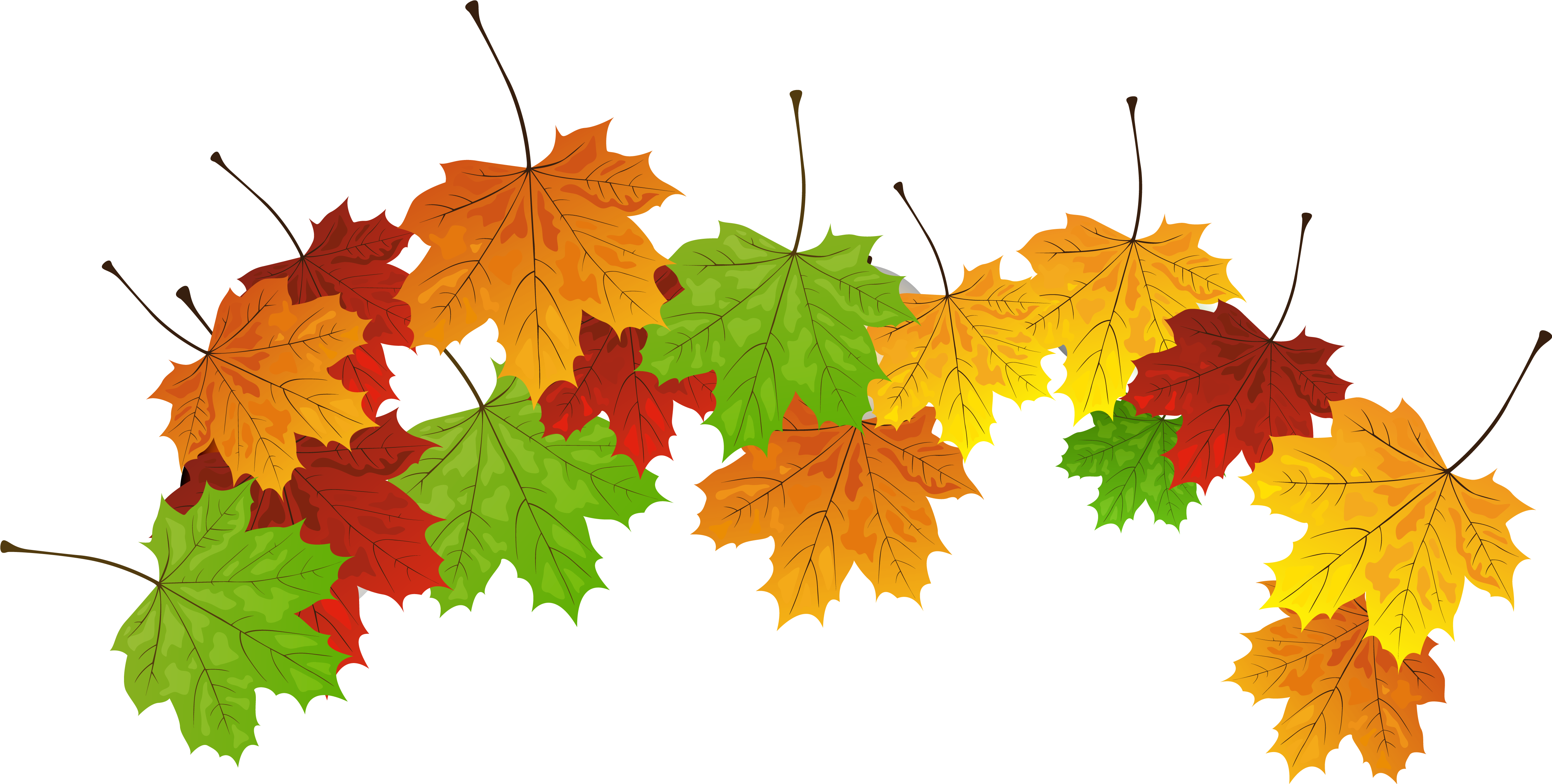 Fall Leaves Png Clipart Image - Portable Network Graphics (4725x2387)