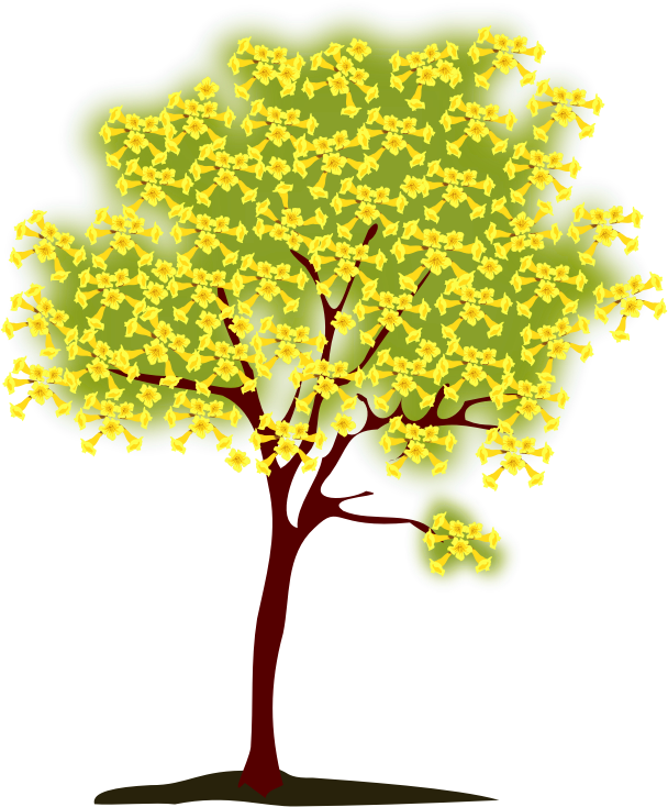 Handroanthus Chrysotrichus Tree Leaf Clip Art - Handroanthus Chrysotrichus Tree Leaf Clip Art (608x734)