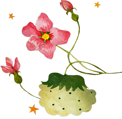 Register Interest - Register Interest (416x408)