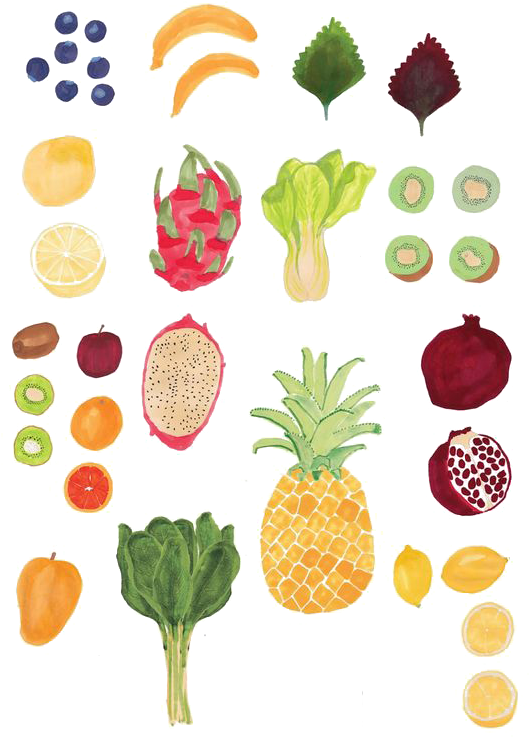 Drawing Food Watercolor Painting Illustration - Drawing Food Watercolor Painting Illustration (564x797)