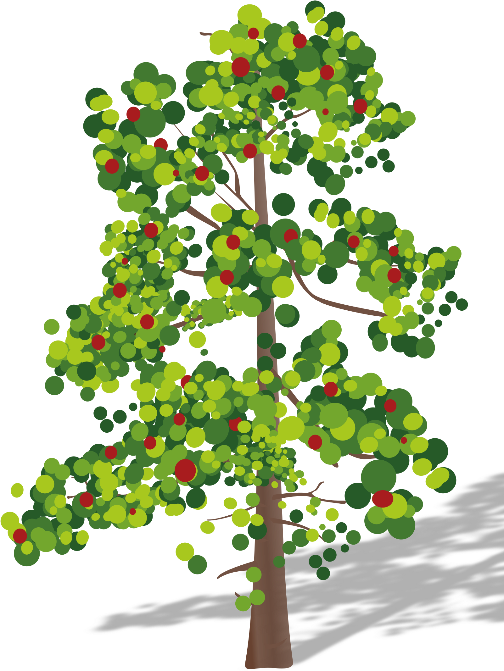 Clipart Flower Tree - Carbon Dioxide Oxygen Cycle (1697x2400)