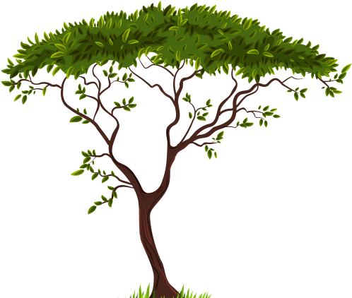 Exotic Tree Png Clip Art - African Tree Silhouette Png (500x430)