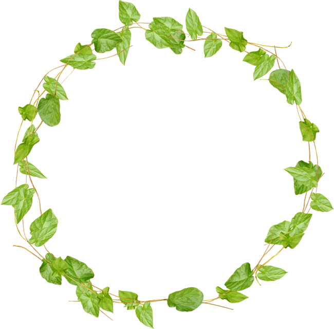 Green Leaves Plants Frames - Венок Фиолетовый Png (650x640)