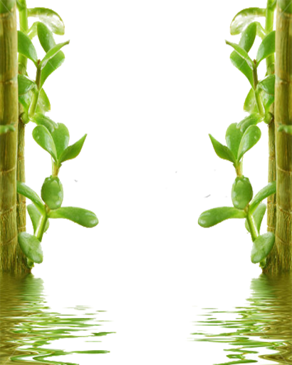 Natural Png - Natural Png (410x512)