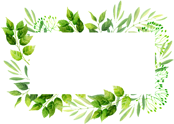 Rectangular Leaf Frame Png Transparent Material - Wedding Leaves Border (650x441)