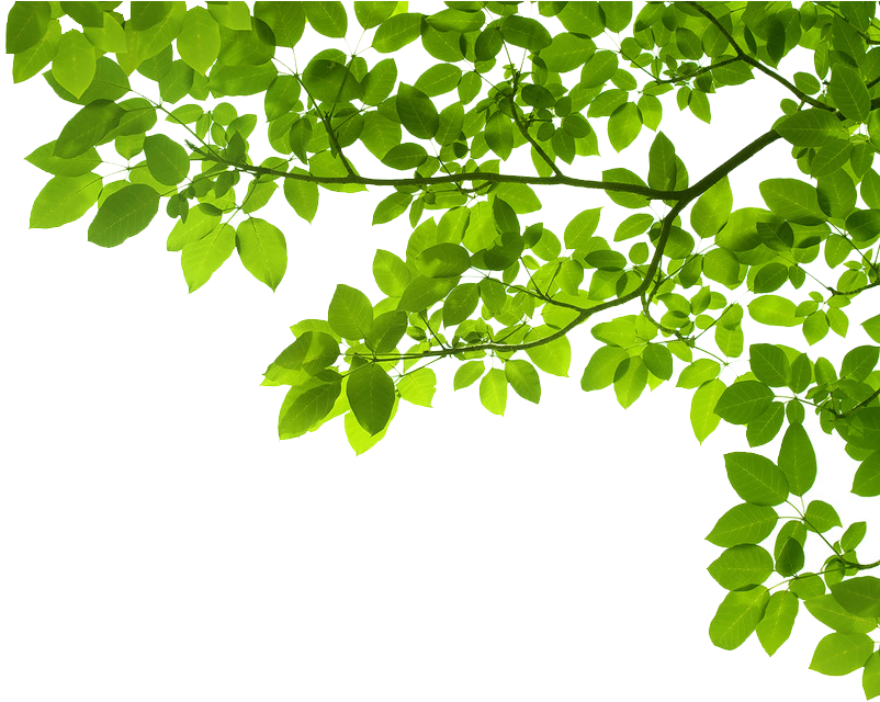 Contact Us - Any Question In Green (1267x650)