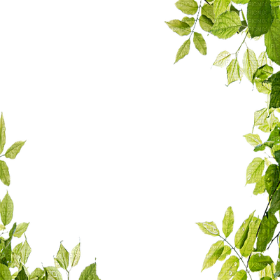 Leaves Green Frame - Leaves Frame Png (400x400)