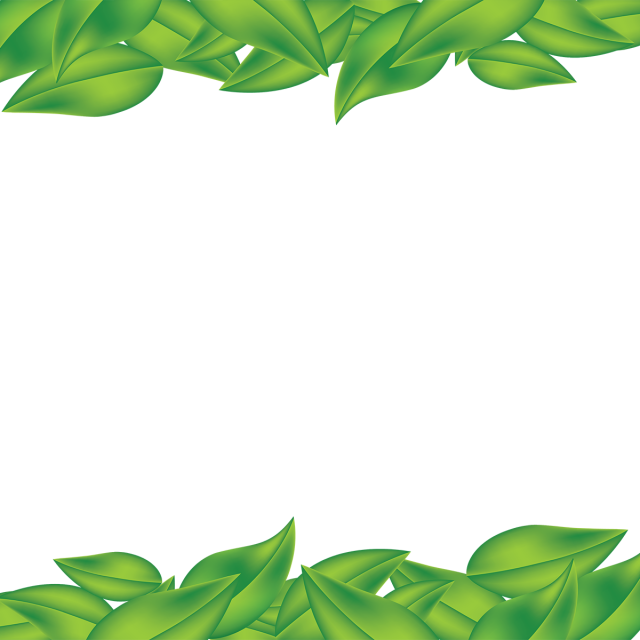 Green Leaf Frame, Green, Leaf, Frame Png And Vector - Leaf (640x640)