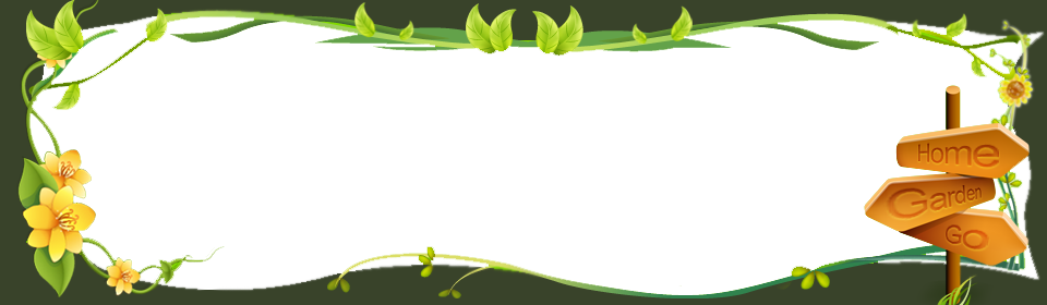 Sri Lankan Herbal Ayurvedic Oils And Creams - Tulip (960x280)