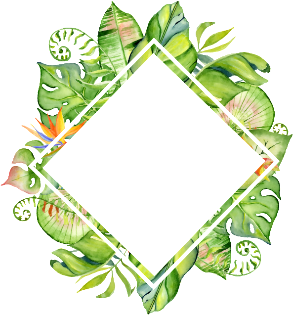 Hand-painted Rhomboid Leaf Frame Png Transparent Material - Watercolor Tropical Leaves Border (650x650)