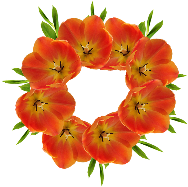 Flower Crown Cliparts 13, Buy Clip Art - Happiness : Nature Flower Coloring Book - Vol. 3: Flowers (720x720)