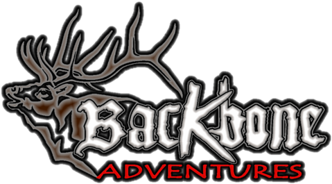 Backbone Adventures - Illustration (500x275)
