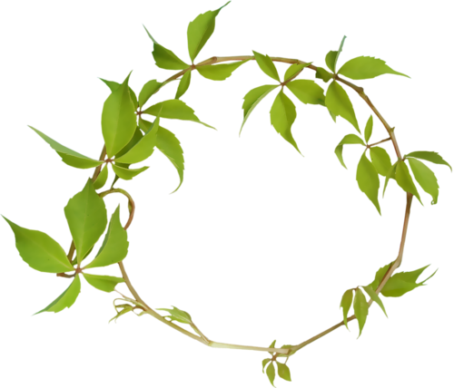 Green Leaves Plants Frames - Mensagem Bom Fim De Semana (500x428)