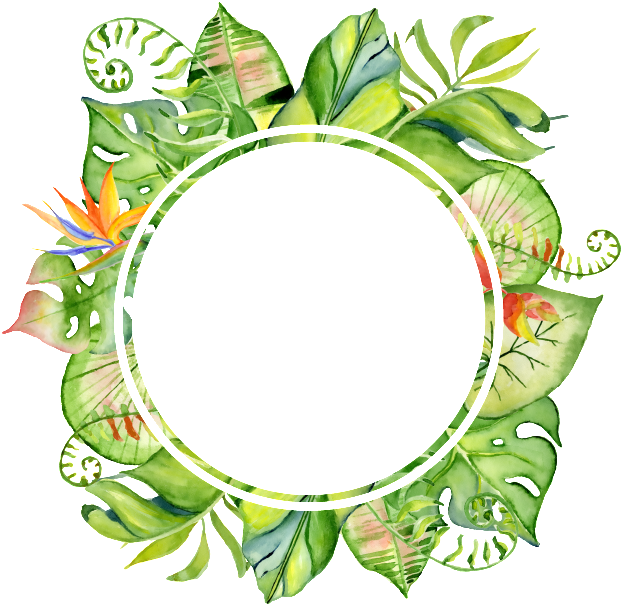 Hand-painted Leaf Frame Png Transparent Material - Water Colour Leafy Wreath (650x650)