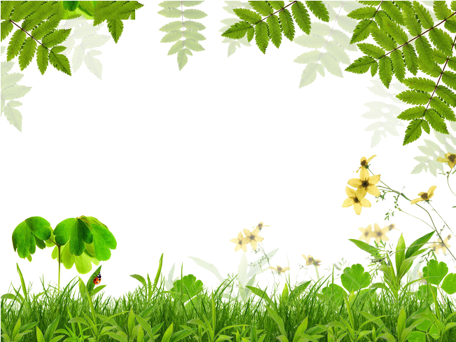 Spring Green Leaf Film Frame - Spring Background Border (650x500)
