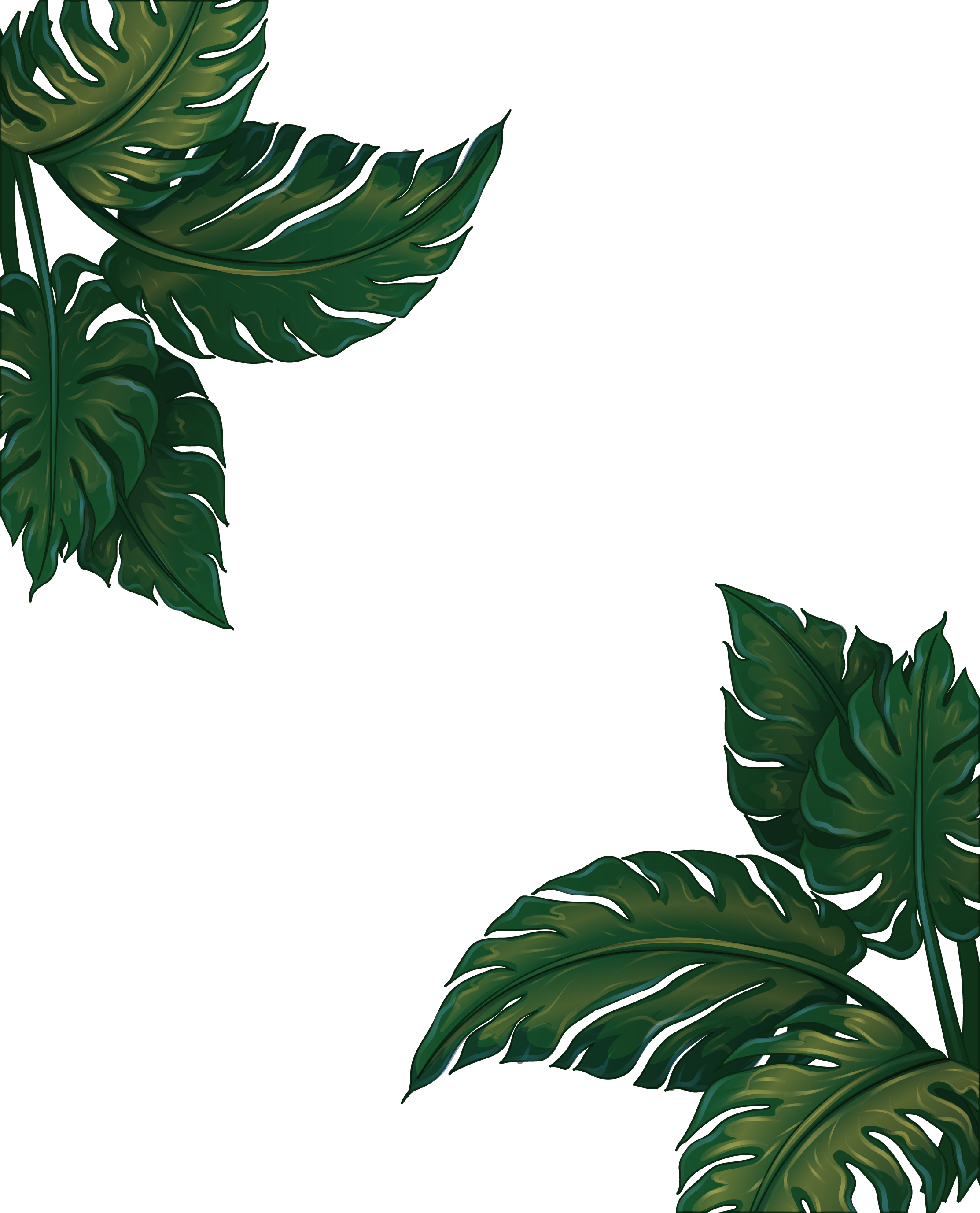 Musa Basjoo Banana Leaf Euclidean Vector - Green Plants Frames Png (2226x2754)