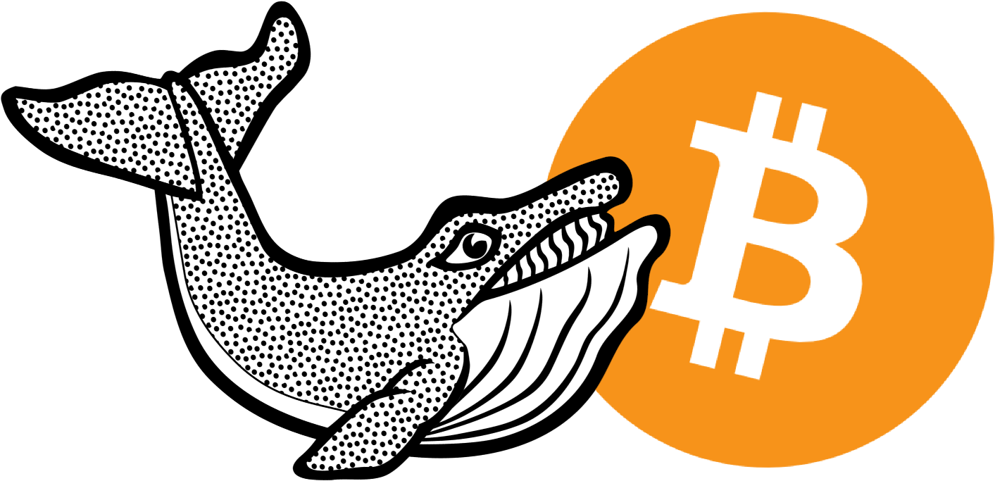 Top 10 bitcoin whales part 2 код