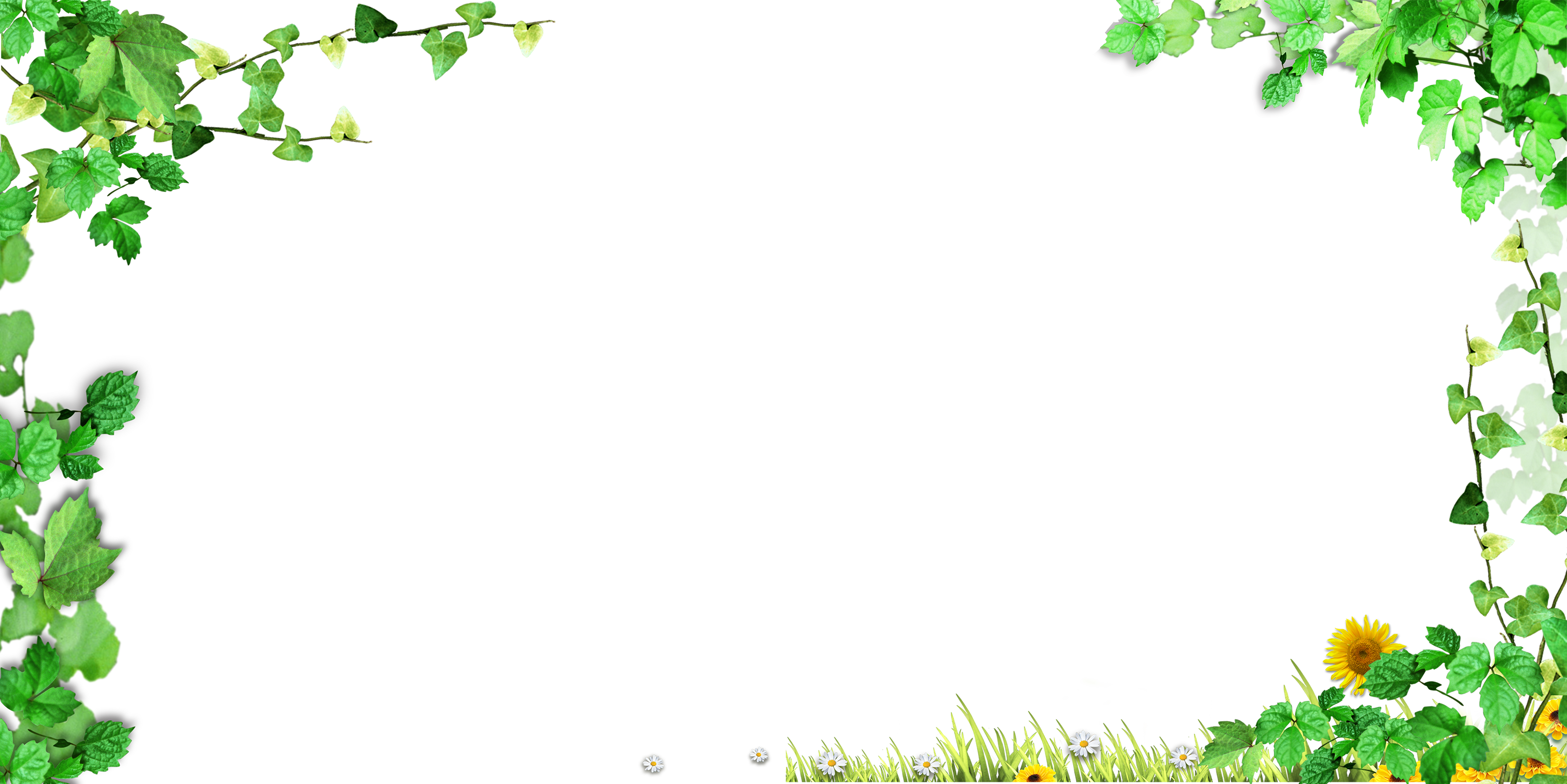 Design Of Green Tree Leaves - Poster (2995x1500)