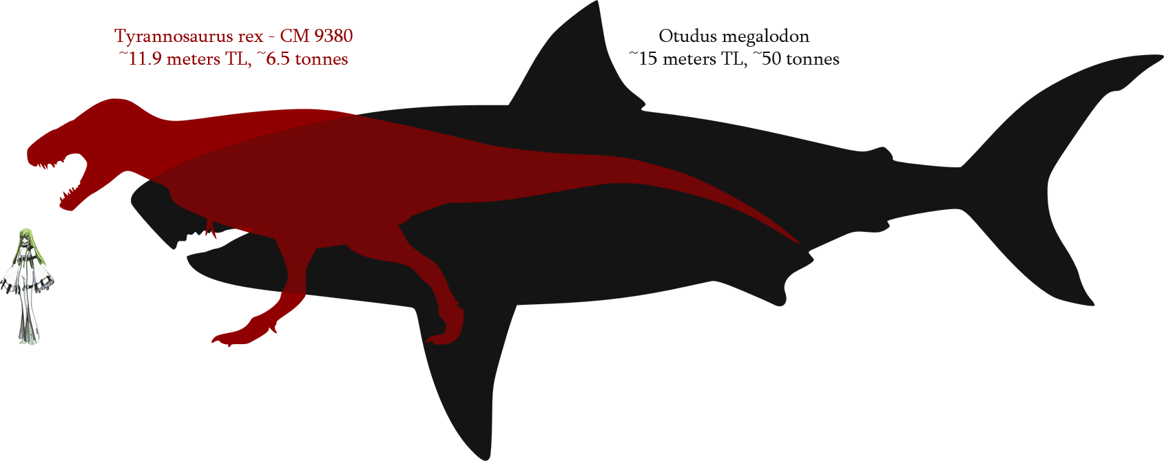 Megalodon Size Comparison - Megalodon Vs T Rex Size (1690x670)