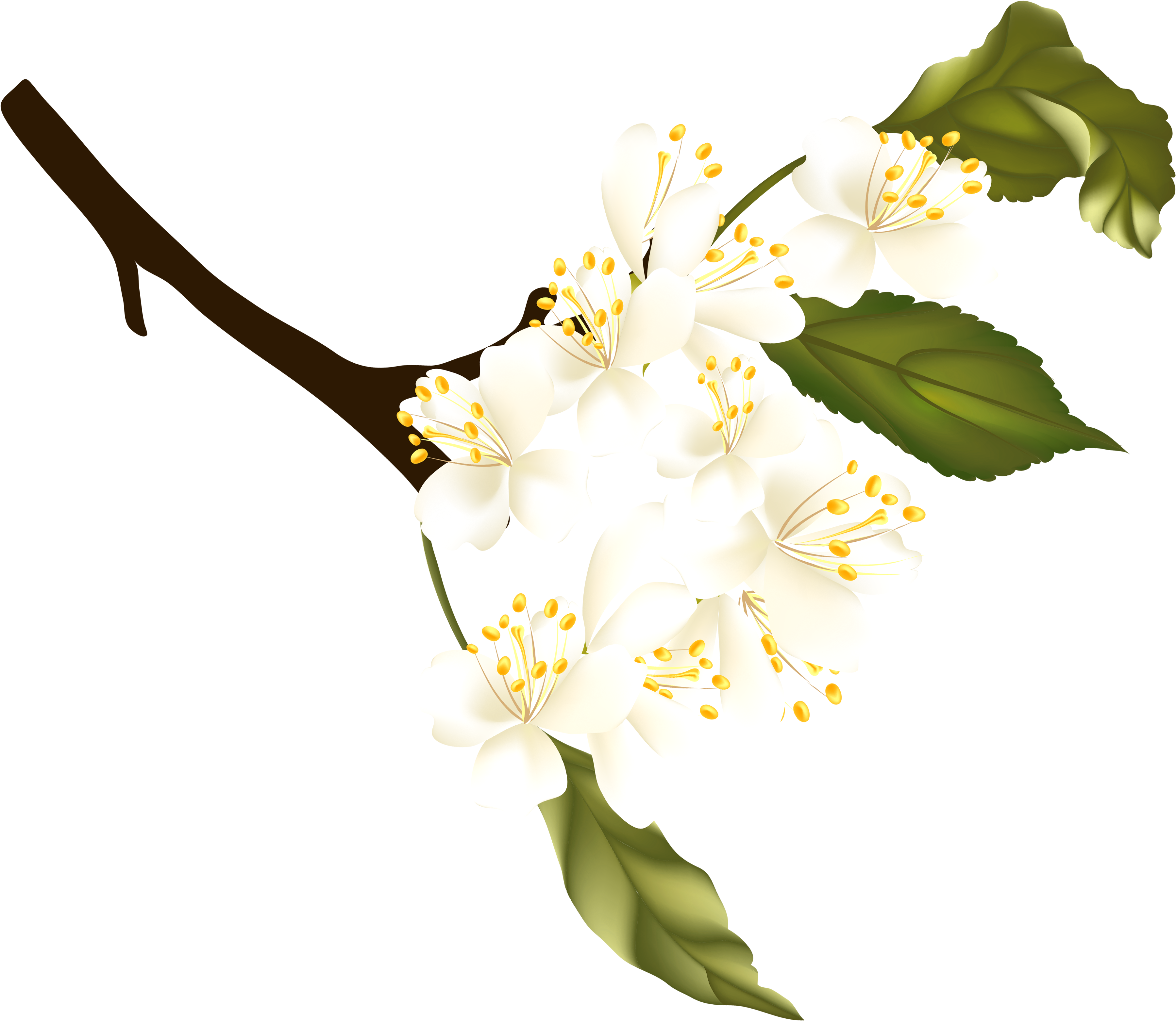 Png Transparent Background Clipart - Spring Element Png (3790x3261)