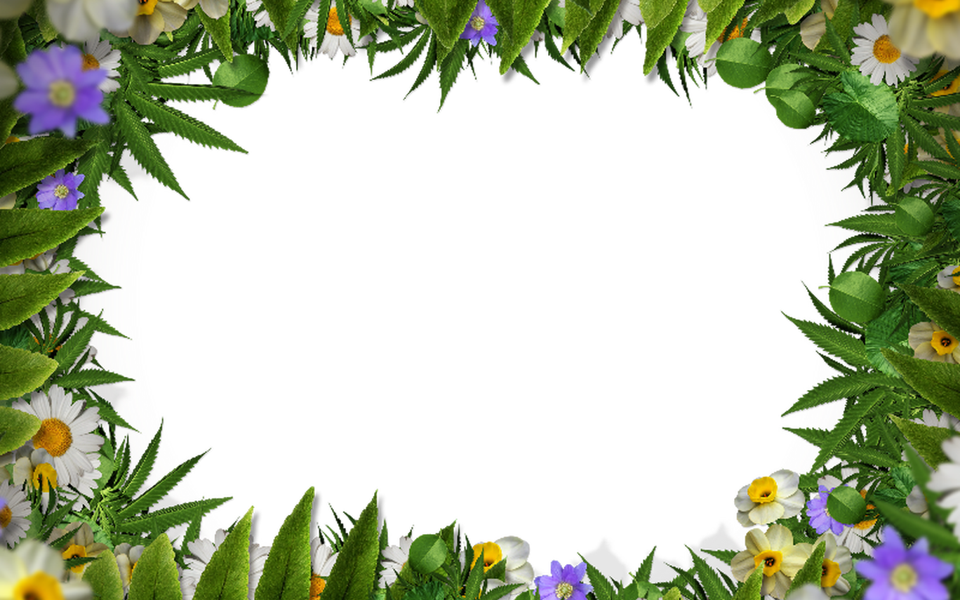 Flower Frame Border Png With Green Leaves Background - Spring Border Transparent Background (1368x855)