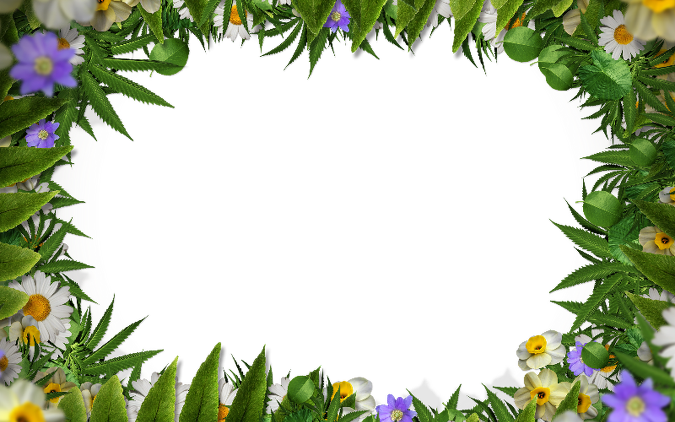 Рамка из травы