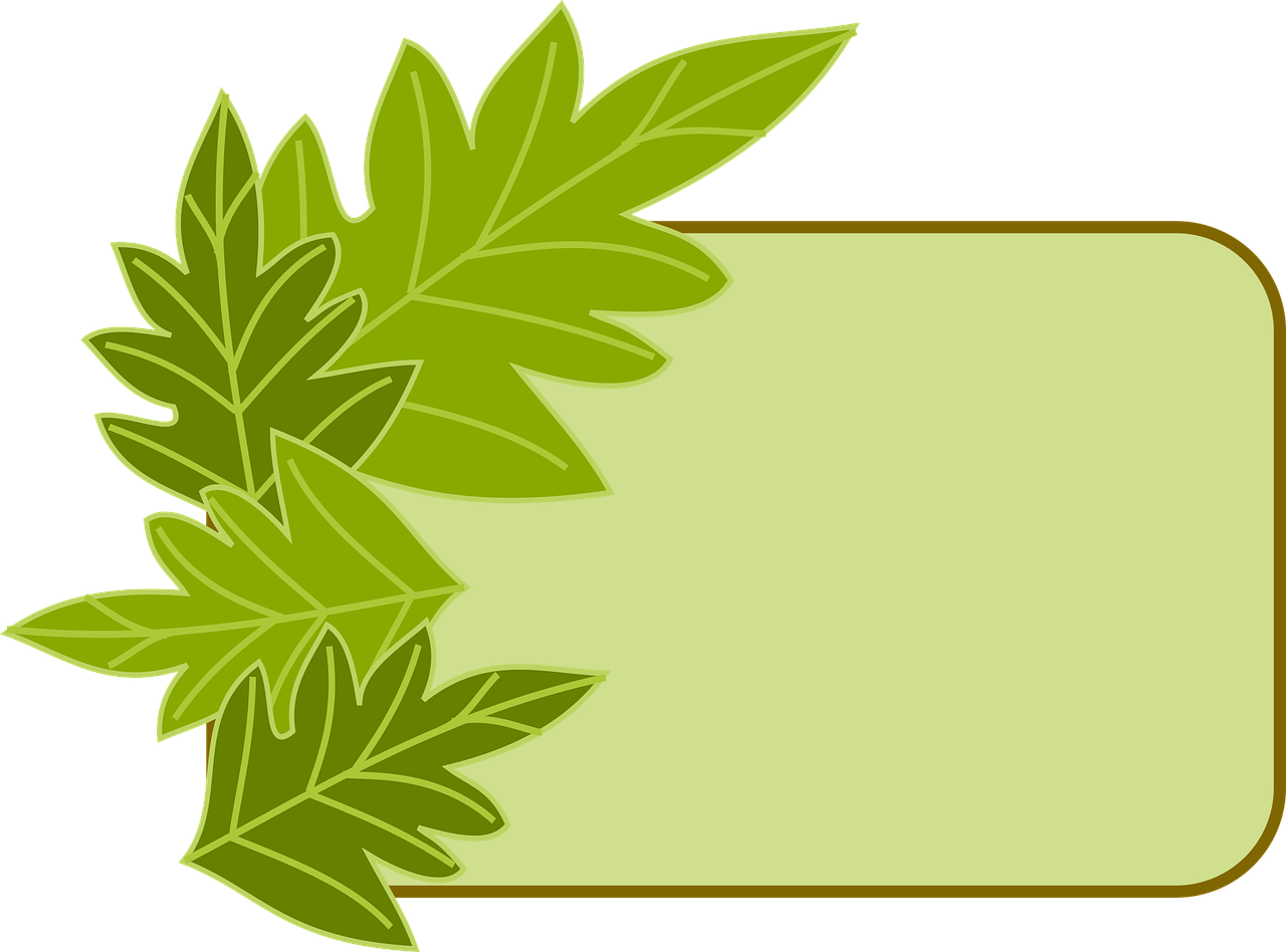 Border Green Leaves Frame Eco Png Image - Eco Frames (1280x948)