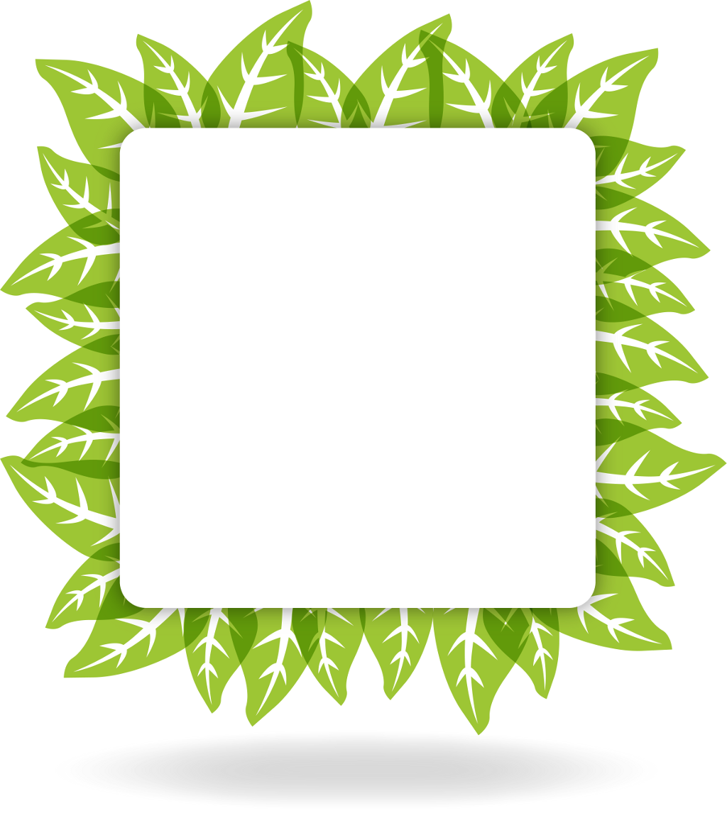 Leaves Frame Green Eco Rectangle Square Quadrilateral - Paper (1024x1146)