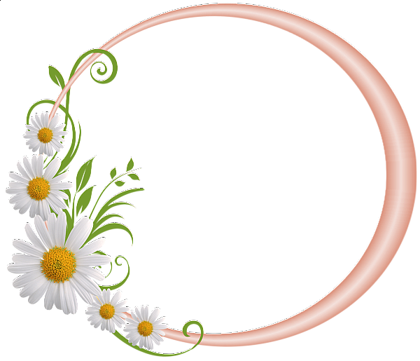 Cream Round Frame With Daisies - Have A Blessed Sabbath (600x515)