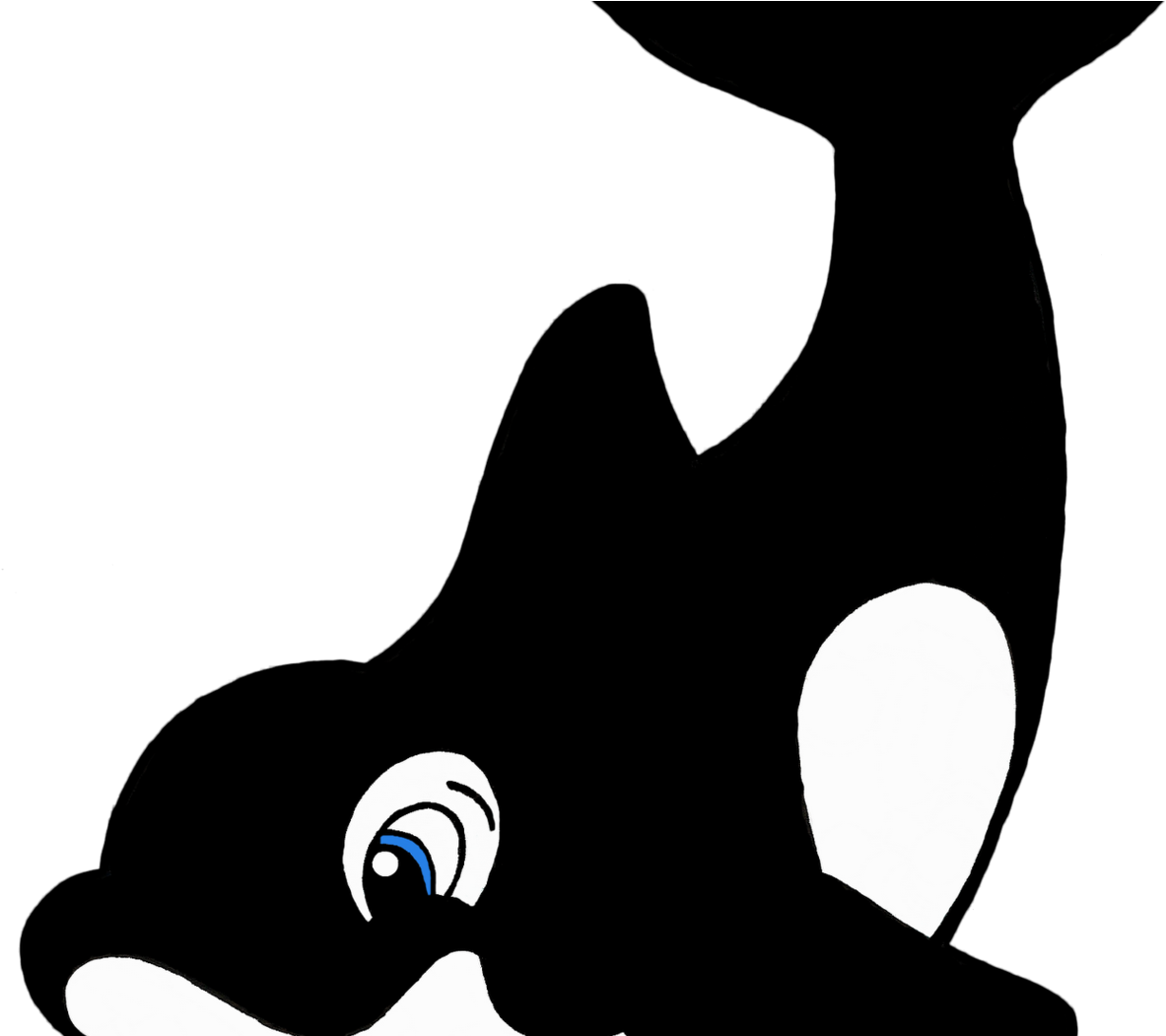 Coloring Pictures Shamu Whale Print Color Pages Printable - Seaworld Clipart (1292x1050)