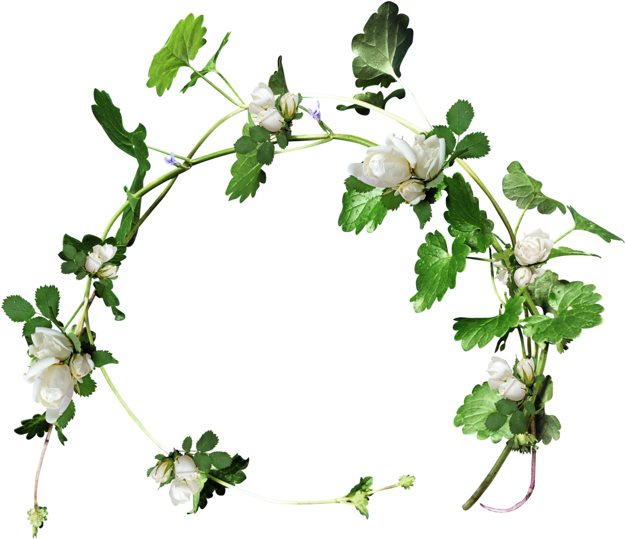 Christmas Holly Garland Clipart Download - Клипарт Венок Из Цветов (1280x1270)