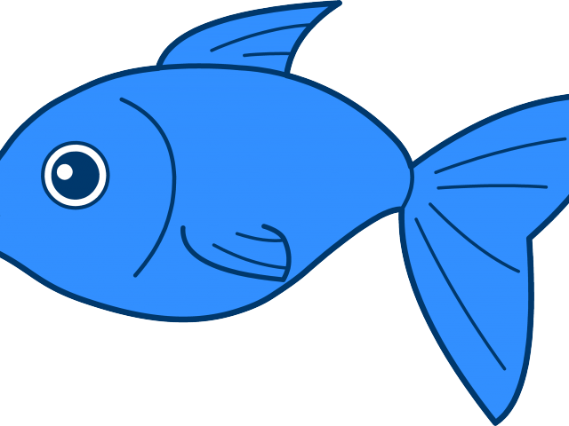 Seafood Clipart Animated - Fish Clipart Transparent Background (640x480)