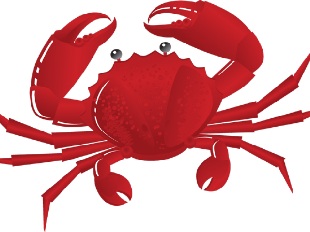 Seafood Clipart Crab Walk - Transparent Background Crab Clipart (640x480)