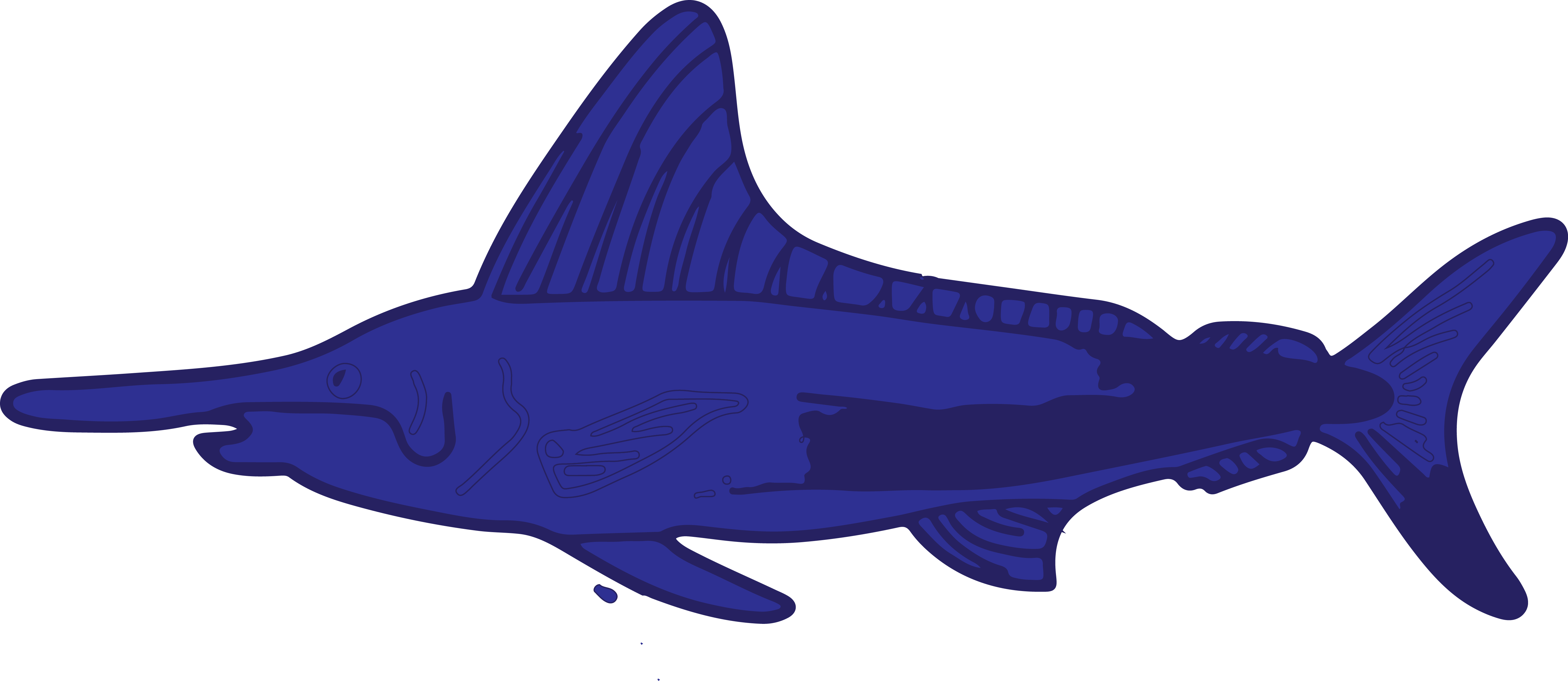 Marine Biology Sea Clip Art - Marine Biology Sea Clip Art (5298x2301)