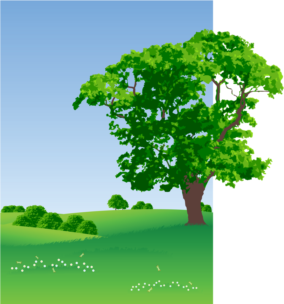 Stock Footage, Broccoli, Clip Art, Decorative Paper, - Childtren Background (1024x1024)