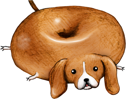 Beagle Bagel Beagle Bagel Beagle Bagel - Beagle And Bagel (571x432)