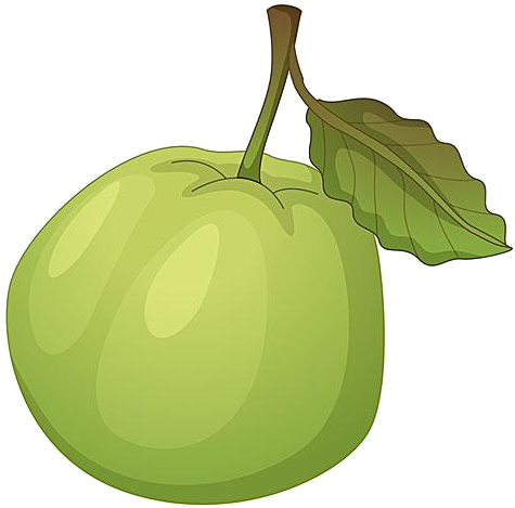 Guava Royalty-free Clip Art - Clipart Of Guava (600x494)