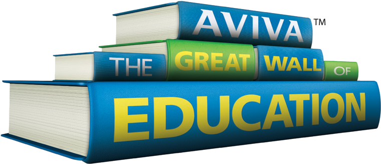 Aviva Great Wall Of Education - Inflatable (800x341)