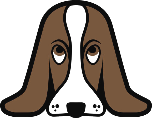 Incident Preparation - Basset Hound (578x449)