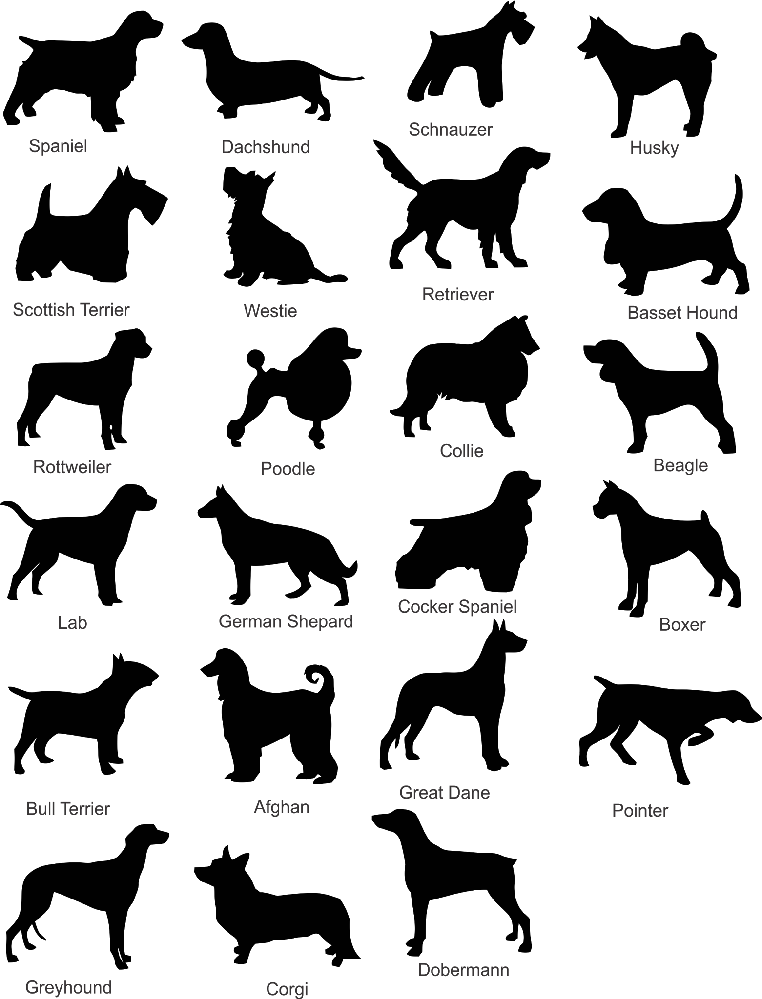 Dog Breed List Plus Dog Silhouette - Cake Toppers With Dogs (1561x2048)