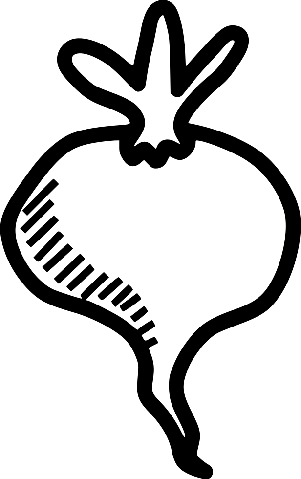 Beet Root Plant Spring Food Vegetable Comments - Beet Root Plant Spring Food Vegetable Comments (616x980)