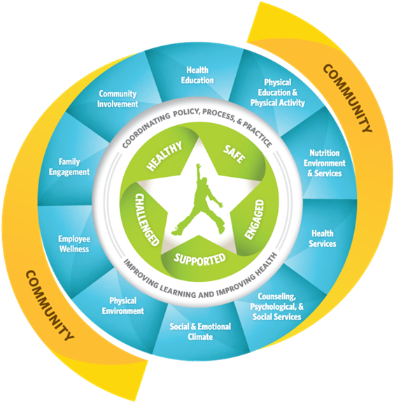 Welcome To Health And Physical Education - Coordinated School Health Model (600x605)