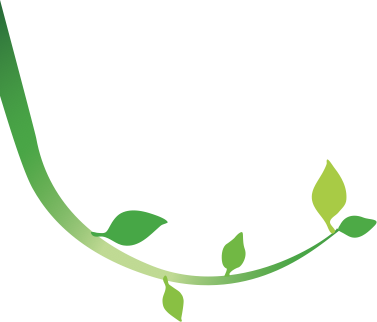 Organic Yum Yums Logo Image In Header - Organic Yum Yums (377x322)