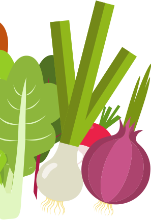 Rawfruit-02 - Beetroot (297x432)