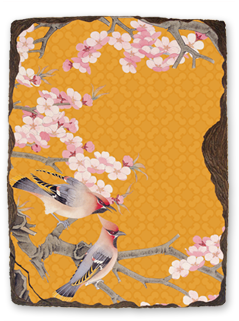 Singing Birds In Spring - Cherry Blossom (500x400)