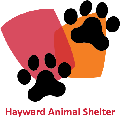 Hayward Animal Services - Hayward Animal Services (500x500)