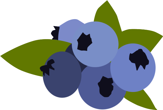 Blueberry - - Blueberry Vector Png (620x413)