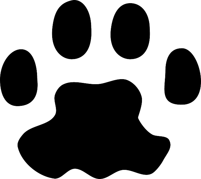 Print, Foot, Paw, Animal, Track - Cat Paw Print Vector (640x570)