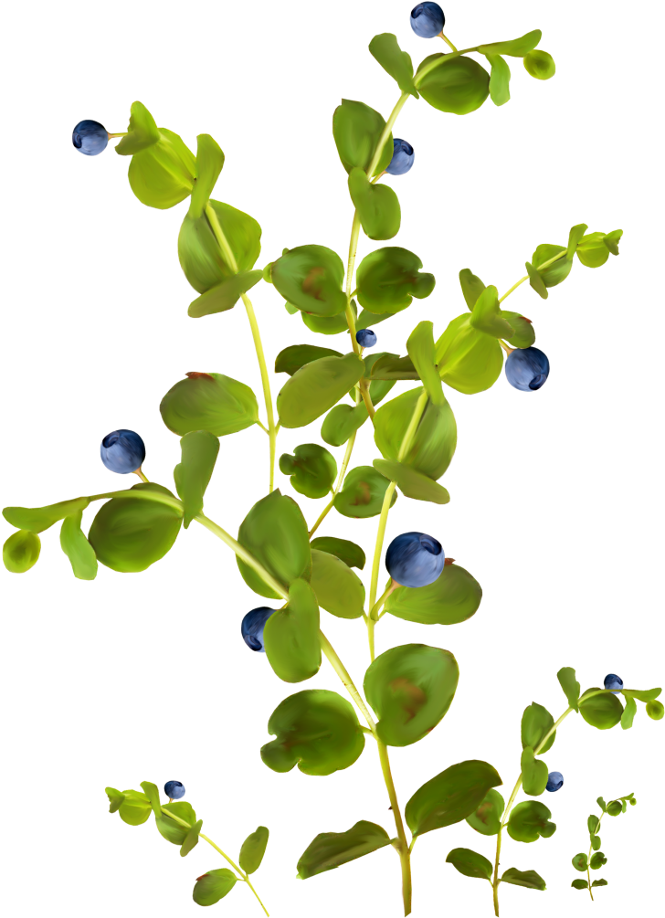 Color Tattoo Blue Clip Art - Color Tattoo Blue Clip Art (788x1080)