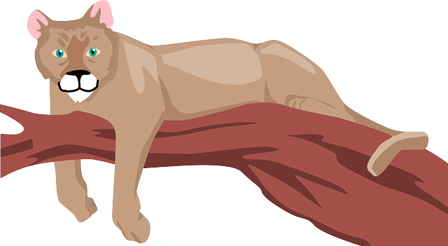 Branch, Color, Art, Animal, Lounging, Cougar - Cougar On A Branch (640x351)